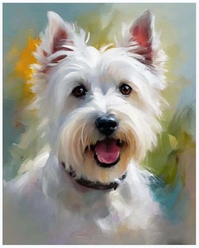 Malen Nach Zahlen Erwachsene Anfänger Kinder Westie Hund Tier West Highland Terrier Hund DIY Ölgemälde auf Leinwand Geschenk Malen Nach Zahlen Kits Malen Nach Zahlen Erwachsene Anfänger Kinder Westie Hund Tier West Highland Terrier Hund DIY Ölgemälde auf Leinwand Geschenk Malen Nach Zahlen Kits von ZMHZMY