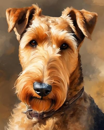 Malen nach Zahlen DIY Handgemalt Ölgemälde Kits für Erwachsene Anfänge Airedale-Terrier-Hund Malen Nach Zahlen Kits für Geschenk Home Deko 40×50cm(Rahmenlos) von ZMHZMY