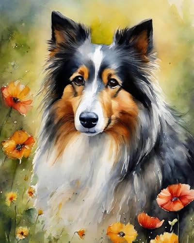 Malen nach Zahlen DIY Handgemalt Ölgemälde Kits für Erwachsene Anfänge Shetland-Schäferhund, Sheltie-Hund Malen Nach Zahlen Kits für Geschenk Home Deko 40x50cm(Rahmenlos) von ZMHZMY