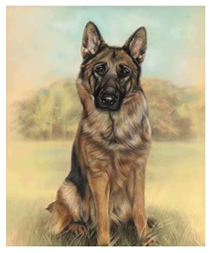 Malen nach Zahlen DIY Handgemalt Ölgemälde Kits für Erwachsene Kinder Anfänge Deutscher Schäferhund Tier Malen Nach Zahlen Kits für Geschenk Home Deko 40×50cm(Rahmenlos) von ZMHZMY