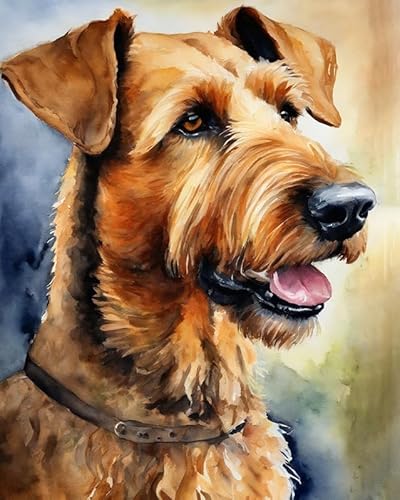 Malen nach Zahlen Erwachsene, Airedale-Terrier-Hund 40 x 50cm DIY Handgemalt Ölgemälde Kits auf Leinwand Geschenk für Weihnachten Geburtstag, Home Haus Deko Malen nach Zahlen Erwachsene, Airedale-Terrier-Hund 40 x 50cm DIY Handgemalt Ölgemälde Kits auf Leinwand Geschenk für Weihnachten Geburtstag, Home Haus Deko von ZMHZMY