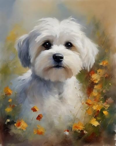 Malen nach Zahlen Erwachsene, Malteser Hund und Blumen 40 x 50cm DIY Handgemalt Ölgemälde Kits auf Leinwand Geschenk für Weihnachten Geburtstag, Home Haus Deko Malen nach Zahlen Erwachsene, Malteser Hund und Blumen 40 x 50cm DIY Handgemalt Ölgemälde Kits auf Leinwand Geschenk für Weihnachten Geburtstag, Home Haus Deko von ZMHZMY