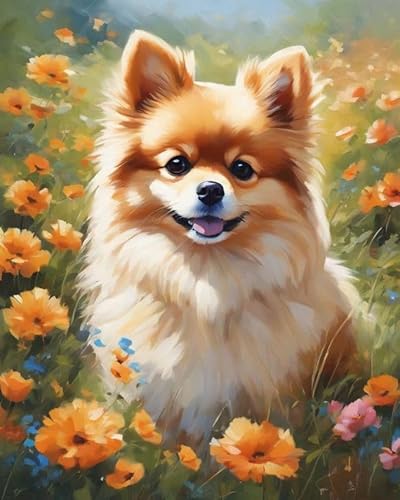 Malen nach Zahlen Erwachsene, Pomeranian und Blumen 40 x 50cm DIY Handgemalt Ölgemälde Kits auf Leinwand Geschenk für Weihnachten Geburtstag, Home Haus Deko Malen nach Zahlen Erwachsene, Pomeranian und Blumen 40 x 50cm DIY Handgemalt Ölgemälde Kits auf Leinwand Geschenk für Weihnachten Geburtstag, Home Haus Deko von ZMHZMY