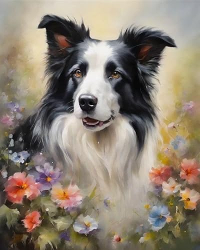 Malen nach Zahlen Erwachsene,Border Collie und Blumen DIY Handgemalt Ölgemälde Kits auf Leinwand Geschenk für Weihnachten Geburtstag Home Haus Deko,40x50cm Malen nach Zahlen Erwachsene,Border Collie und Blumen DIY Handgemalt Ölgemälde Kits auf Leinwand Geschenk für Weihnachten Geburtstag Home Haus Deko,40x50cm von ZMHZMY