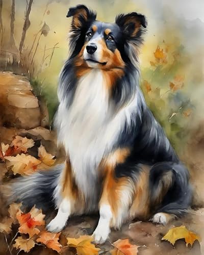 Malen nach Zahlen Erwachsene,Shetland-Schäferhund und Blumen 40 x 50cm DIY Handgemalt Ölgemälde Kits auf Leinwand Geschenk für Weihnachten Geburtstag, Home Haus Deko Malen nach Zahlen Erwachsene,Shetland-Schäferhund und Blumen 40 x 50cm DIY Handgemalt Ölgemälde Kits auf Leinwand Geschenk für Weihnachten Geburtstag, Home Haus Deko von ZMHZMY