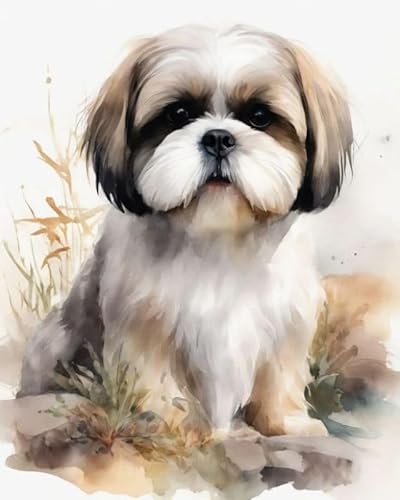 Malen nach Zahlen Erwachsene,Shih Tzu DIY Handgemalt Ölgemälde Kits auf Leinwand Geschenk für Weihnachten Geburtstag Home Haus Deko,40x50cm Malen nach Zahlen Erwachsene,Shih Tzu DIY Handgemalt Ölgemälde Kits auf Leinwand Geschenk für Weihnachten Geburtstag Home Haus Deko,40x50cm von ZMHZMY