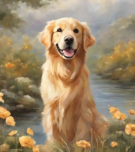 Malen nach Zahlen Erwachsene,Tierhund Golden Retriever,DIY Malen nach Zahlen Leinwand Ölgemälde Kits Wohnwanddekor Mit Acrylfarben und Pinseln,40x50cm Malen nach Zahlen Erwachsene,Tierhund Golden Retriever,DIY Malen nach Zahlen Leinwand Ölgemälde Kits Wohnwanddekor Mit Acrylfarben und Pinseln,40x50cm von ZMHZMY