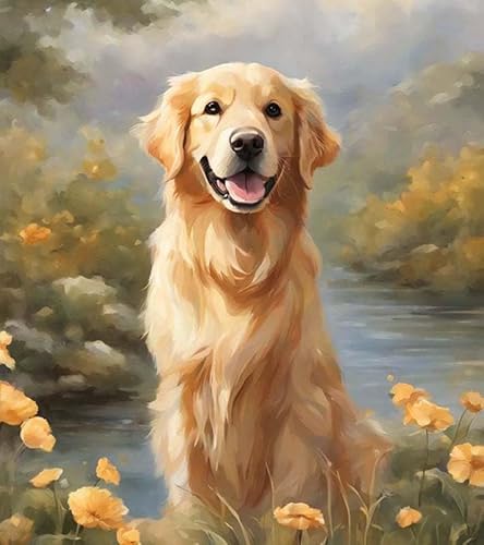 Malen nach Zahlen Erwachsene,Tierhund Golden Retriever,DIY Malen nach Zahlen Leinwand Ölgemälde Kits Wohnwanddekor Mit Acrylfarben und Pinseln,40x50cm von ZMHZMY