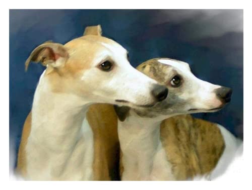 Malen nach Zahlen Erwachsene,Whippet-Hundetier DIY Handgemalt Ölgemälde Kits auf Leinwand Geschenk für Weihnachten Geburtstag Home Haus Deko - Ohne Rahmen 40 * 50 cm Malen nach Zahlen Erwachsene,Whippet-Hundetier DIY Handgemalt Ölgemälde Kits auf Leinwand Geschenk für Weihnachten Geburtstag Home Haus Deko - Ohne Rahmen 40 * 50 cm von ZMHZMY