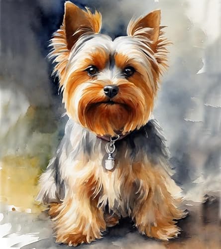 Malen nach Zahlen Erwachsene,Yorkshire-Terrier,DIY Malen nach Zahlen Leinwand Ölgemälde Kits Wohnwanddekor Mit Acrylfarben und Pinseln,40x50cm von ZMHZMY