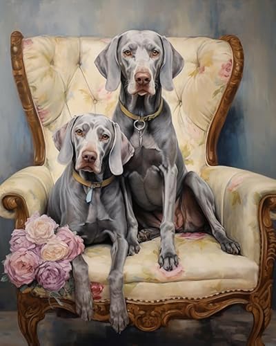 Malen nach Zahlen Erwachsene,Zwei Weimaraner-Hunde DIY Handgemalt Ölgemälde Kits auf Leinwand Geschenk für Weihnachten Geburtstag Home Haus Deko,40x50cm Malen nach Zahlen Erwachsene,Zwei Weimaraner-Hunde DIY Handgemalt Ölgemälde Kits auf Leinwand Geschenk für Weihnachten Geburtstag Home Haus Deko,40x50cm von ZMHZMY