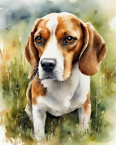 Malen nach Zahlen Erwachsene - Beagle - DIY Malen Nach Zahlen-Vorgedruckt Leinwand-Ölgemälde Geschenk für Erwachsene Kits Home Haus Dekor,40x50cm Malen nach Zahlen Erwachsene - Beagle - DIY Malen Nach Zahlen-Vorgedruckt Leinwand-Ölgemälde Geschenk für Erwachsene Kits Home Haus Dekor,40x50cm von ZMHZMY