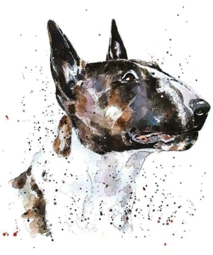Malen nach Zahlen Erwachsene - Bullterrier-Hundetier - DIY Malen Nach Zahlen-Vorgedruckt Leinwand-Ölgemälde Geschenk für Erwachsene Kinder Kits Home Haus Dekor 40 * 50 cm Malen nach Zahlen Erwachsene - Bullterrier-Hundetier - DIY Malen Nach Zahlen-Vorgedruckt Leinwand-Ölgemälde Geschenk für Erwachsene Kinder Kits Home Haus Dekor 40 * 50 cm von ZMHZMY