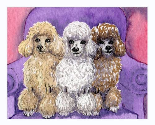 Malen nach Zahlen Erwachsene - DIY Malen Nach Zahlen Pudel-Hundetier-Vorgedruckt Leinwand-Ölgemälde Geschenk für Erwachsene Kinder Kits Home Haus Dekor 40 * 50 cm Malen nach Zahlen Erwachsene - DIY Malen Nach Zahlen Pudel-Hundetier-Vorgedruckt Leinwand-Ölgemälde Geschenk für Erwachsene Kinder Kits Home Haus Dekor 40 * 50 cm von ZMHZMY