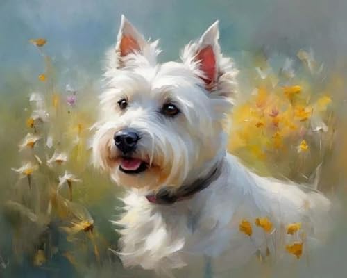 Malen nach Zahlen Erwachsene - DIY Malen Nach Zahlen Westie Hund Tier West Highland Terrier Hund-Vorgedruckt Leinwand-Ölgemälde Geschenk für Erwachsene Kinder Kits Home Haus Dekor 40 * 50 cm von ZMHZMY