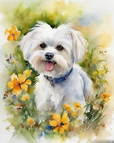 Malen nach Zahlen Erwachsene - Malteser Hund und Blumen - DIY Malen Nach Zahlen-Vorgedruckt Leinwand-Ölgemälde Geschenk für Erwachsene Kits Home Haus Dekor,40x50cm Malen nach Zahlen Erwachsene - Malteser Hund und Blumen - DIY Malen Nach Zahlen-Vorgedruckt Leinwand-Ölgemälde Geschenk für Erwachsene Kits Home Haus Dekor,40x50cm von ZMHZMY