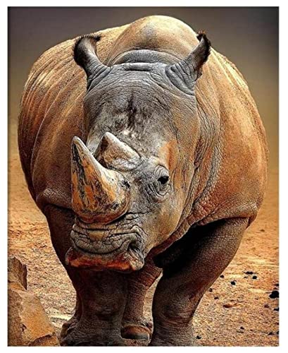Malen nach Zahlen Erwachsene - Nashorn Tier - DIY Malen Nach Zahlen-Vorgedruckt Leinwand-Ölgemälde Geschenk für Erwachsene Kinder Kits Home Haus Dekor 40 * 50 cm Malen nach Zahlen Erwachsene - Nashorn Tier - DIY Malen Nach Zahlen-Vorgedruckt Leinwand-Ölgemälde Geschenk für Erwachsene Kinder Kits Home Haus Dekor 40 * 50 cm von ZMHZMY