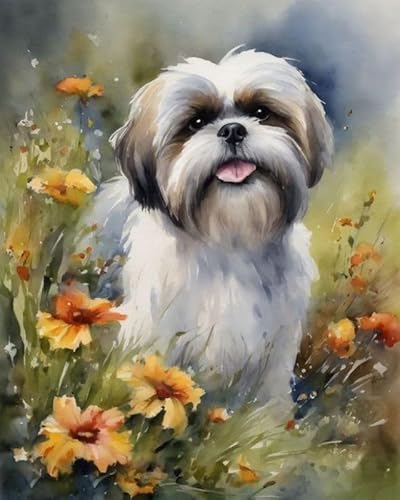 Malen nach Zahlen Erwachsene - Shih Tzu und Blumen - DIY Malen Nach Zahlen-Vorgedruckt Leinwand-Ölgemälde Geschenk für Erwachsene Kits Home Haus Dekor,40x50cm Malen nach Zahlen Erwachsene - Shih Tzu und Blumen - DIY Malen Nach Zahlen-Vorgedruckt Leinwand-Ölgemälde Geschenk für Erwachsene Kits Home Haus Dekor,40x50cm von ZMHZMY