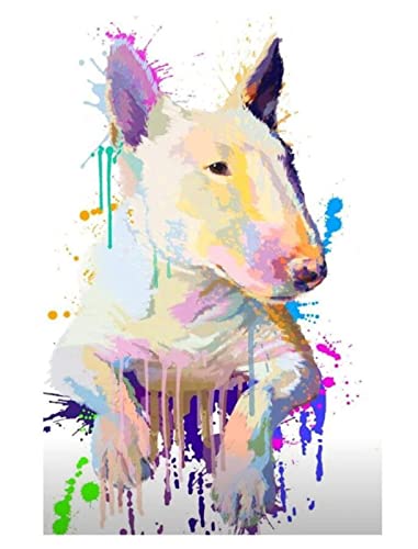 Malen nach Zahlen Erwachsene und Kinder – Malen nach Zahlen Bullterrier-Hundetier– 40 x 50 cm Leinwand und Pinsel, Acrylfarbe (ohne Rand) von ZMHZMY