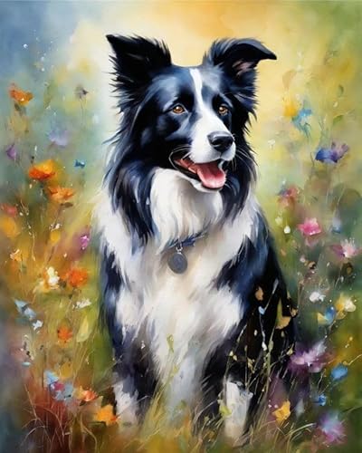 Malen nach Zahlen Kit für Erwachsene,Border Collie im Gras,Poster Kunst Moderne Leinwand Ölgemälde Home Decor,40x50cm Malen nach Zahlen Kit für Erwachsene,Border Collie im Gras,Poster Kunst Moderne Leinwand Ölgemälde Home Decor,40x50cm von ZMHZMY