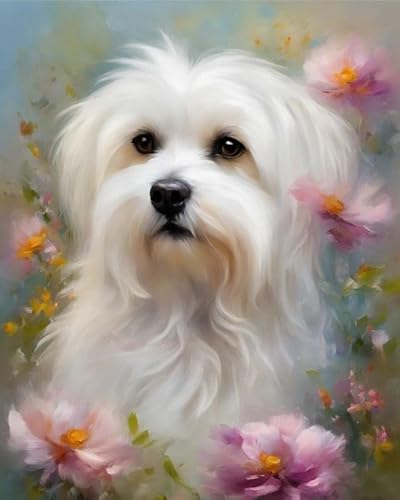 Malen nach Zahlen Malteser Hund und Blumen Painting by Numbers Kit DIY ölgemälde Kit für Erwachsene,Anfänger Painting Set 16x20 Zoll Leinwanddruck Wandkunst Dekoration Malen nach Zahlen Malteser Hund und Blumen Painting by Numbers Kit DIY ölgemälde Kit für Erwachsene,Anfänger Painting Set 16x20 Zoll Leinwanddruck Wandkunst Dekoration von ZMHZMY