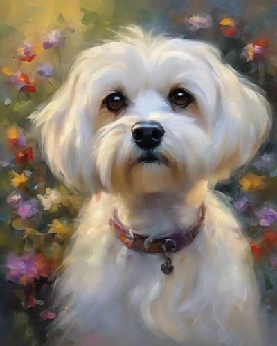 Malen nach Zahlen für Erwachsene, Anfänger, DIY-Geschenk-Leinwand-Malsets,Malteser Hund und Blumen 40x50cm,Ohne Rahmen Malen nach Zahlen für Erwachsene, Anfänger, DIY-Geschenk-Leinwand-Malsets,Malteser Hund und Blumen 40x50cm,Ohne Rahmen von ZMHZMY