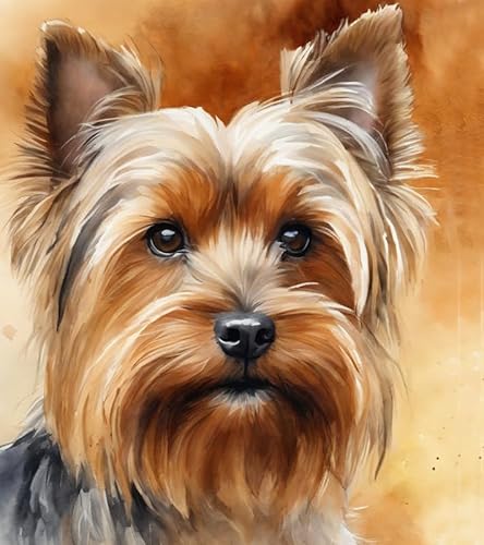 Malen nach Zahlen für Erwachsene, Anfänger, DIY-Geschenk-Leinwand-Malsets,Yorkshire-Terrier-Hund 40x50cm,Ohne Rahmen Malen nach Zahlen für Erwachsene, Anfänger, DIY-Geschenk-Leinwand-Malsets,Yorkshire-Terrier-Hund 40x50cm,Ohne Rahmen von ZMHZMY