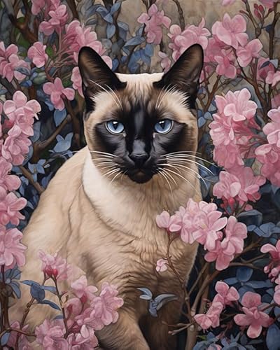Malen nach Zahlen für Erwachsene,Anfänger,Blumen und Siamkatze DIY-Geschenk-Leinwand-Malset,40x50cm,Ohne Rahmen Malen nach Zahlen für Erwachsene,Anfänger,Blumen und Siamkatze DIY-Geschenk-Leinwand-Malset,40x50cm,Ohne Rahmen von ZMHZMY