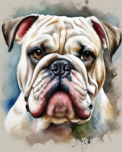 Malen nach Zahlen für Erwachsene,Anfänger,Englische Bulldogge DIY-Geschenk-Leinwand-Malset,40x50cm,Ohne Rahmen Malen nach Zahlen für Erwachsene,Anfänger,Englische Bulldogge DIY-Geschenk-Leinwand-Malset,40x50cm,Ohne Rahmen von ZMHZMY