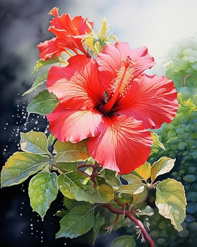 Malen nach Zahlen für Erwachsene,Anfänger,Hibiskus DIY-Geschenk-Leinwand-Malset,40x50cm,Ohne Rahmen Malen nach Zahlen für Erwachsene,Anfänger,Hibiskus DIY-Geschenk-Leinwand-Malset,40x50cm,Ohne Rahmen von ZMHZMY