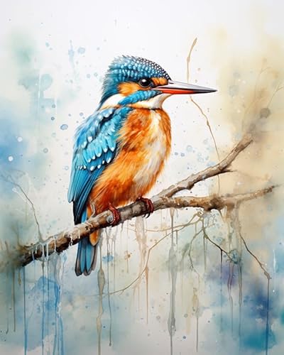 Malen nach Zahlen für Erwachsene,Anfänger-Sets mit Pinseln und Acrylpigmenten,DIY-Leinwandgemälde,Aquarell-Eisvogel,40x50cm,handgemaltes Spielzeug,Geschenke Malen nach Zahlen für Erwachsene,Anfänger-Sets mit Pinseln und Acrylpigmenten,DIY-Leinwandgemälde,Aquarell-Eisvogel,40x50cm,handgemaltes Spielzeug,Geschenke von ZMHZMY