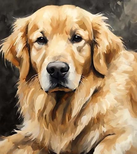 Malen nach Zahlen für Erwachsene,Anfänger-Sets mit Pinseln und Acrylpigmenten,DIY-Leinwandgemälde,Golden Retriever,40x50cm,handgemaltes Spielzeug,Geschenke Malen nach Zahlen für Erwachsene,Anfänger-Sets mit Pinseln und Acrylpigmenten,DIY-Leinwandgemälde,Golden Retriever,40x50cm,handgemaltes Spielzeug,Geschenke von ZMHZMY