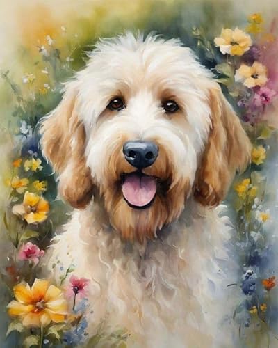 Malen nach Zahlen für Erwachsene,Anfänger-Sets mit Pinseln und Acrylpigmenten,DIY-Leinwandgemälde,Goldendoodle-Hund zwischen Blumen,40x50cm,handgemaltes Spielzeug,Geschenke Malen nach Zahlen für Erwachsene,Anfänger-Sets mit Pinseln und Acrylpigmenten,DIY-Leinwandgemälde,Goldendoodle-Hund zwischen Blumen,40x50cm,handgemaltes Spielzeug,Geschenke von ZMHZMY