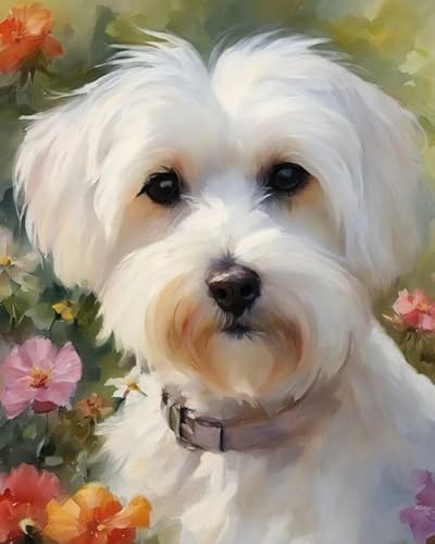 Malen nach Zahlen für Erwachsene,Anfänger-Sets mit Pinseln und Acrylpigmenten,DIY-Leinwandgemälde,Malteser Hund und Blumen,40x50cm,handgemaltes Spielzeug,Geschenke Malen nach Zahlen für Erwachsene,Anfänger-Sets mit Pinseln und Acrylpigmenten,DIY-Leinwandgemälde,Malteser Hund und Blumen,40x50cm,handgemaltes Spielzeug,Geschenke von ZMHZMY