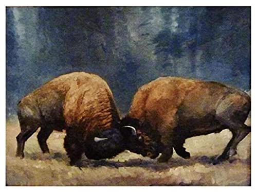 Malen nach Zahlen für Erwachsene Amerikanisches Bison-Büffel-Vieh-Tier,DIY Leinwand Ölgemälde Kit für Kinder mit Pinseln Acrylpigment Zeichnung 40x50cm von ZMHZMY