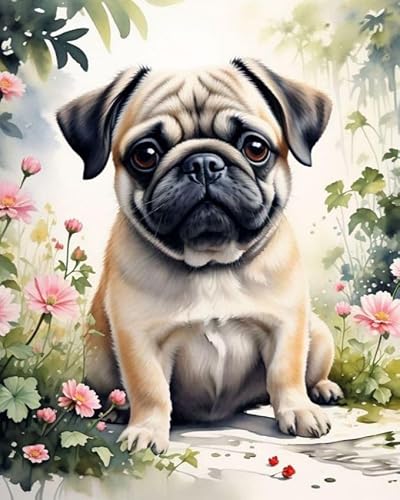 Malen nach Zahlen für Erwachsene Anfänger,Mops und Blumen,Malen nach Zahlen Hundemalerei auf Leinwand,40x50cm,Ohne Rahmen Malen nach Zahlen für Erwachsene Anfänger,Mops und Blumen,Malen nach Zahlen Hundemalerei auf Leinwand,40x50cm,Ohne Rahmen von ZMHZMY