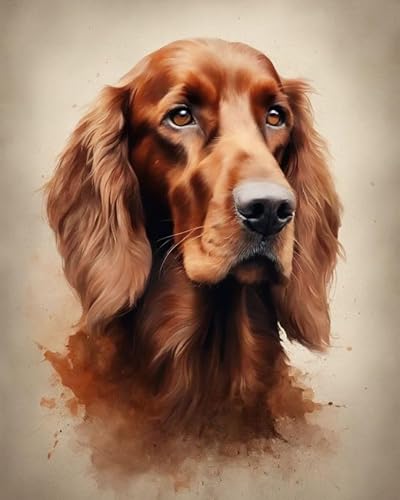 Malen sie nach Nummer kit Irischer Setter-Hund Malen nach Zahlen DIY Ölgemälde Leinwand drucken Wandkunst Home Decoration, Acrylpigment für Gemälde,40x50cm von ZMHZMY