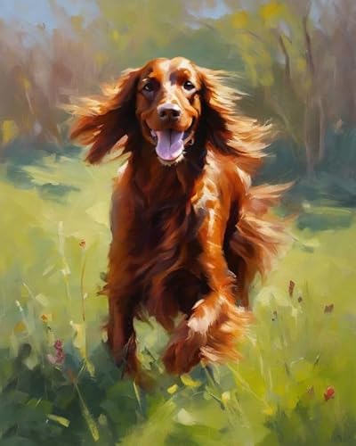 ZMHZMY Malen-nach-Zahlen-Set für Erwachsene,DIY-Ölgemälde-Set auf Leinwand für Anfänger mit Pinseln,Acrylpigmenten,Irish Setter Dog auf dem Gras,40x50cm,Ohne Rahmen ZMHZMY Malen-nach-Zahlen-Set für Erwachsene,DIY-Ölgemälde-Set auf Leinwand für Anfänger mit Pinseln,Acrylpigmenten,Irish Setter Dog auf dem Gras,40x50cm,Ohne Rahmen von ZMHZMY