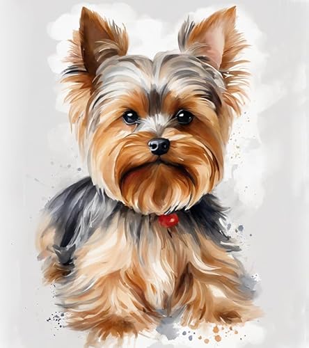 ZMHZMY Malen-nach-Zahlen-Set für Erwachsene,DIY-Ölgemälde-Set auf Leinwand für Anfänger mit Pinseln,Acrylpigmenten,Yorkshire-Terrier,40x50cm,Ohne Rahmen ZMHZMY Malen-nach-Zahlen-Set für Erwachsene,DIY-Ölgemälde-Set auf Leinwand für Anfänger mit Pinseln,Acrylpigmenten,Yorkshire-Terrier,40x50cm,Ohne Rahmen von ZMHZMY