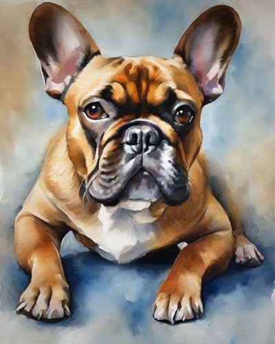 ZMHZMY Malen-nach-Zahlen-Sets für Erwachsene,Französische Bulldogge,Malen-nach-Zahlen-Sets auf Leinwand, DIY-Ölgemälde für Erwachsene,Kunst und Handwerk,40 x 50 cm von ZMHZMY