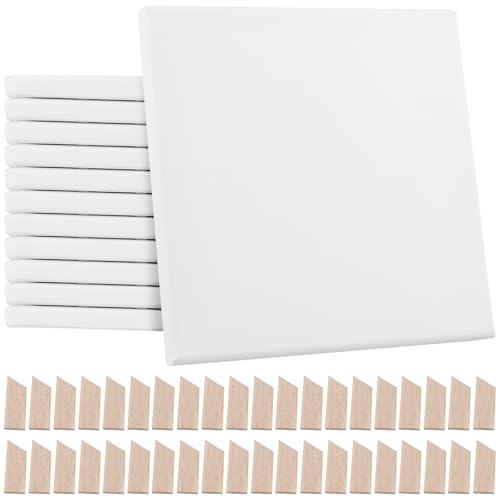 ZOENHOU 12 Stück Leinwand zum bemalen – 20x20 cm mit 96 Spannschlüsseln, 280g/m² Professionelle keilrahmen Leinwand für Acryl und Ölfarbe, Vorgrundierte Künstlermalleinwand für Anfänger und Profis von ZOENHOU