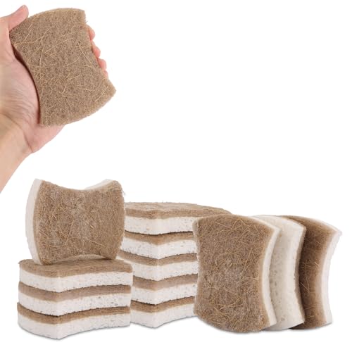 ZOFUN 15 Stück Ökologische Spülschwämme, Naturschwämme Küchenschwamm Bio Reinigungsschwamm Geschirrschwamm, Putzschwamm für Küche, Geschirr, Töpfen, Schüssel, Teller ZOFUN 15 Stück Ökologische Spülschwämme, Naturschwämme Küchenschwamm Bio Reinigungsschwamm Geschirrschwamm, Putzschwamm für Küche, Geschirr, Töpfen, Schüssel, Teller von ZOFUN