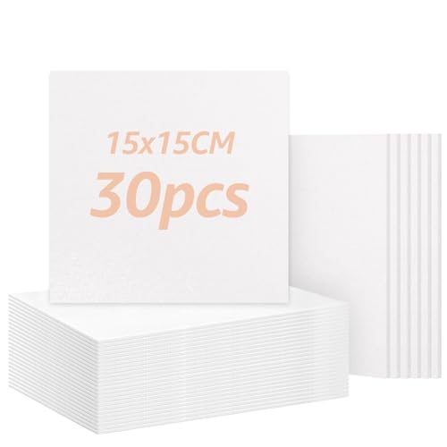 ZOFUN 30 Stück Leinwand zum Bemalen, Leinwand 15x15 cm, Leinwand mit Keilrahmen Mini leinwand Kleine Leinwände für Acryl ölfarben Strukturpaste Anfänger Studentin Künstlerin ZOFUN 30 Stück Leinwand zum Bemalen, Leinwand 15x15 cm, Leinwand mit Keilrahmen Mini leinwand Kleine Leinwände für Acryl ölfarben Strukturpaste Anfänger Studentin Künstlerin von ZOFUN