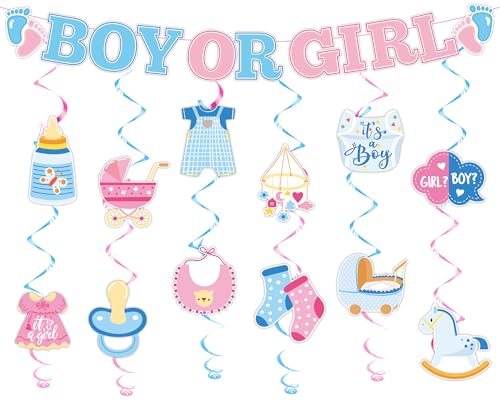 35 Stück Baby Geschlecht Enthüllung Dekorationen Blau Rosa Babyparty Banner Junge oder Mädchen Banner Hängende Wirbel Deckenschlangen für Jungen oder Mädchen Thema Kinder Geburtstag Party Dekorationen von ZOIIWA