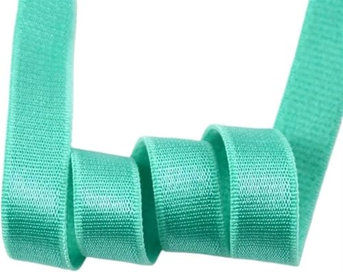ZONSHJDKR Nähzubehör 10/20/50 Meter 10 mm Nylon-Gummibänder for Unterwäsche-BH-Träger Gummiband Schultergurt DIY Kleidungsdekor Nähzubehör-20 Meter_10 MM-Rot(Green,20METERS-10MM) von ZONSHJDKR