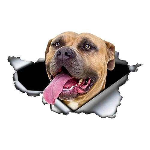 ZONTO Wandaufkleber, französischer Hund, Rissaufkleber für Seitenfenster – Aufkleber für Haus mit transparentem Druck für Kinderzimmer, Kinderzimmer ZONTO Wandaufkleber, französischer Hund, Rissaufkleber für Seitenfenster – Aufkleber für Haus mit transparentem Druck für Kinderzimmer, Kinderzimmer von ZONTO
