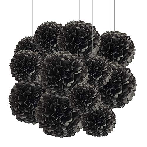 ZooYoo 12 schwarze Papier-Pompons, Dekorationen für Party, Decken, Wandbehang, Seidenblumen, Dekorationen, 1 Farbe von 30,5 cm, 25,4 cm von ZOOYOO