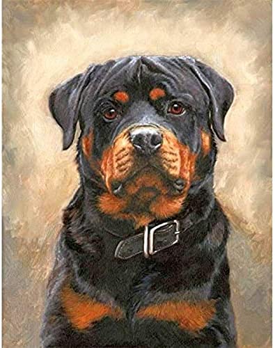 DIY 5D Diamond Painting Set, Diamond Painting Kits Rottweiler Hund Malen nach Zahlen Diamond Painting Arts Craft für Home Wall Decor 30x40CM von ZOZOIN