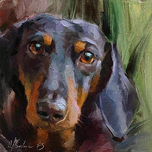 Dackel Haustier Hund Tier ﹣ Malen nach Zahlen Kits ﹣ DIY Leinwandmalerei für Erwachsene Anfänger 40x40cm von ZOZOIN
