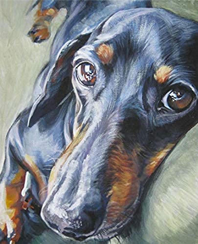 Malen nach Zahlen Kits Mini Dackel Schwarzer Hund Malen nach Zahlen für Erwachsene und Kinder Diy Ölgemälde Geschenksets 40x50cm Malen nach Zahlen Kits Mini Dackel Schwarzer Hund Malen nach Zahlen für Erwachsene und Kinder Diy Ölgemälde Geschenksets 40x50cm von ZOZOIN